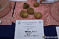 VBS_6913 - Fiera dei Santi - 12.ma Fiera Nazionale del Tartufo